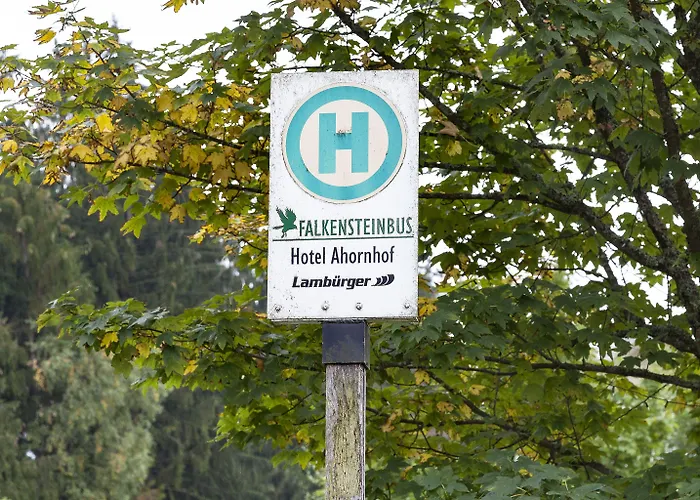 Ahornhof Hotel 3*